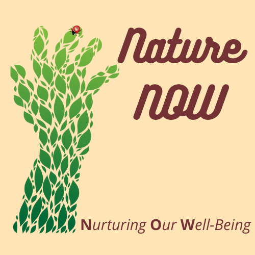 Nature NOW – Play and Explore, Witney – Autumn 2023