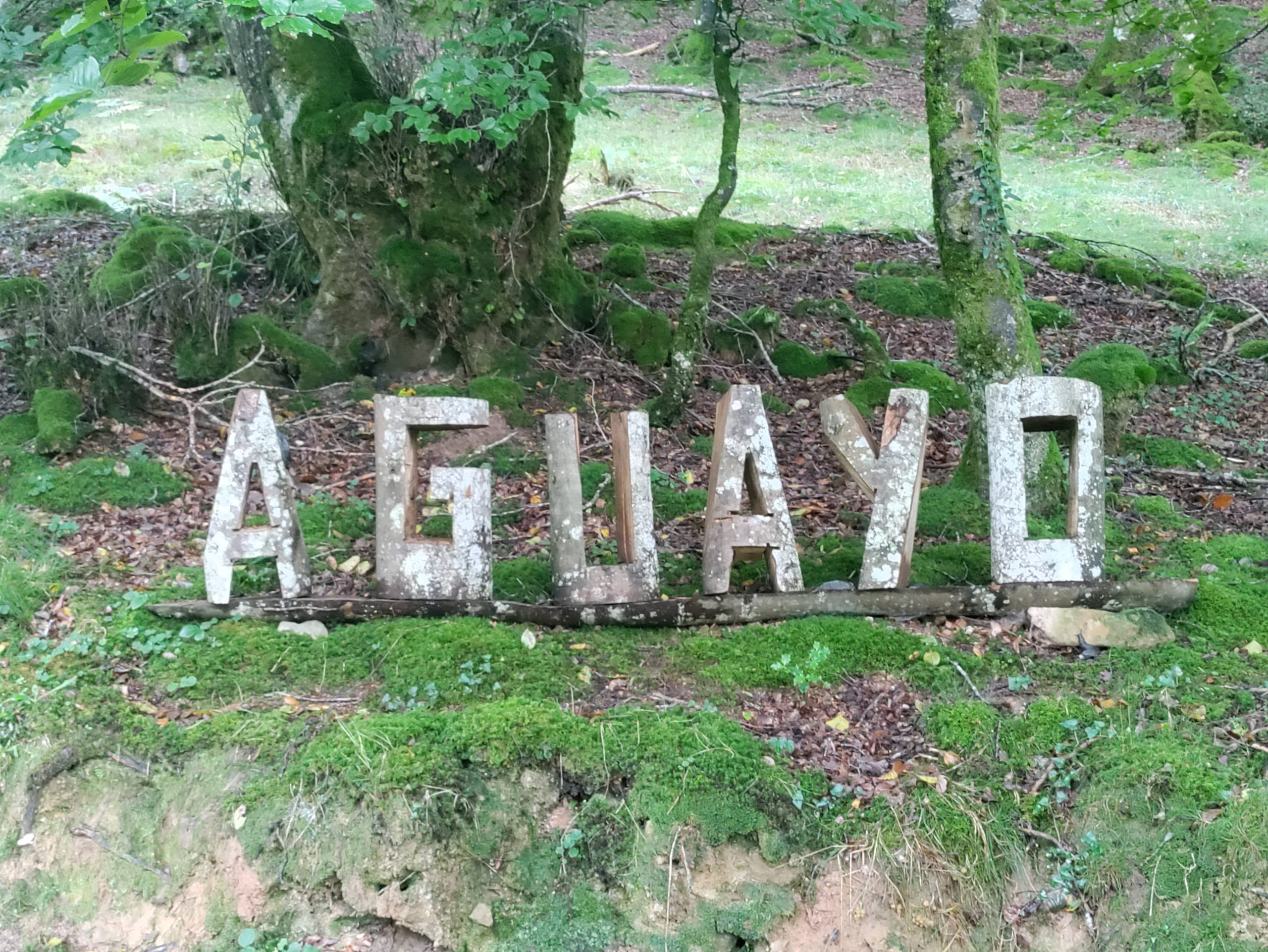 ¡Una visita a Forest School en España!